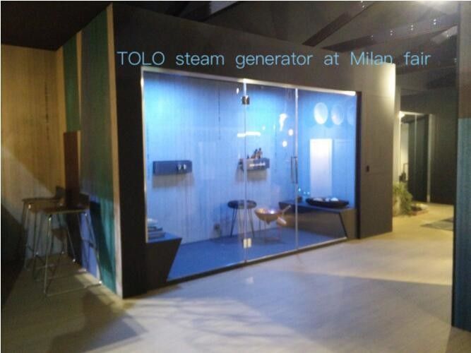 1 - 3 Phases Domestic Steam Generator / Electric Steam Machine , 110V - 380V
